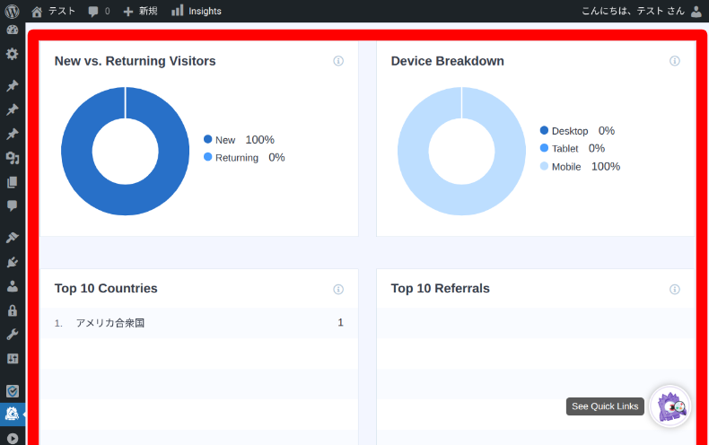 MonsterInsightsのレポート5