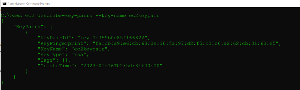 Working with AWS Command Line Interface (CLI)