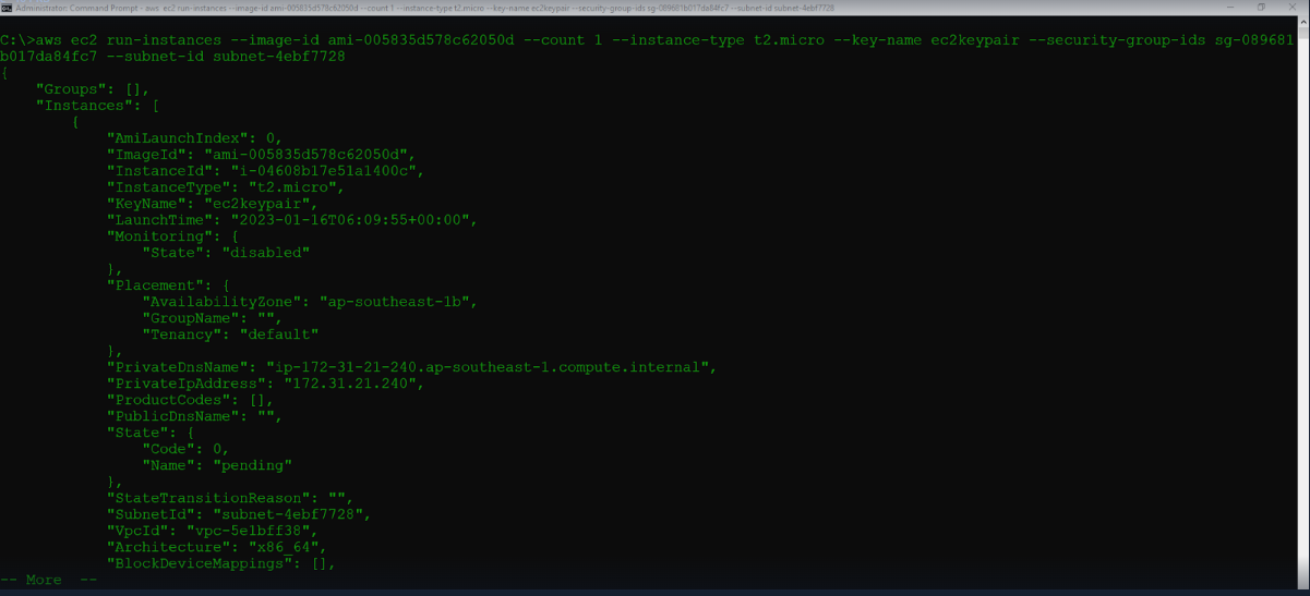 Working with AWS Command Line Interface (CLI)