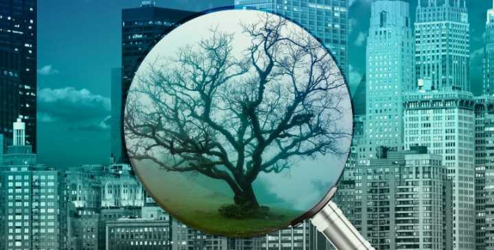 v2-38c458f12382d8205cc0dea73632531e_hd.jpg v2-38c458f12382d8205cc0dea73632531e_hd.jpg