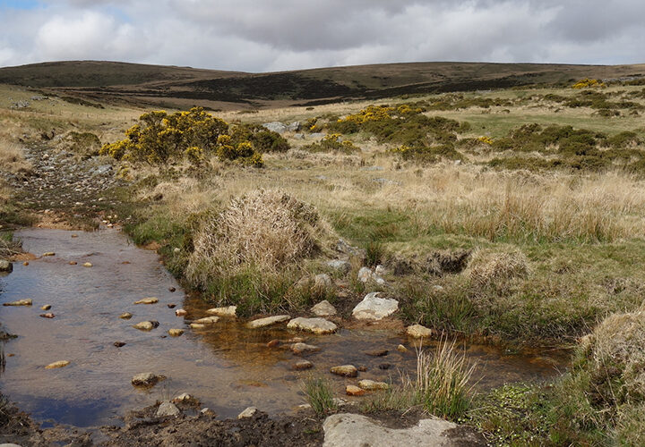 My Day on Dartmoor