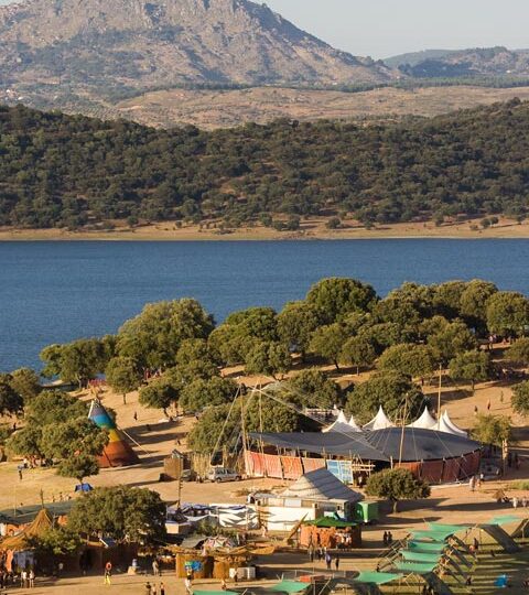 Boom Festival 2008