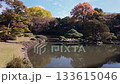 黄葉と紅葉が彩る日本庭園と静かな池の秋風景 黄葉と紅葉が彩る日本庭園と静かな池の秋風景 133615046