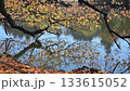 秋色の葉と水面の映り込みが広がる自然風景 秋色の葉と水面の映り込みが広がる自然風景 133615052