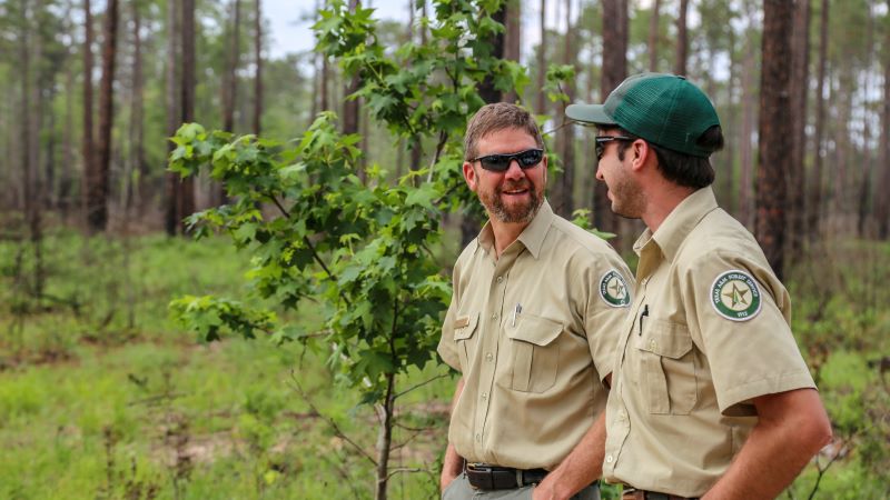 Two foresters talking in the middle of the forest