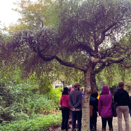 Jannine Barron - Regenerative Business Mentor - The Growth Experience - Images