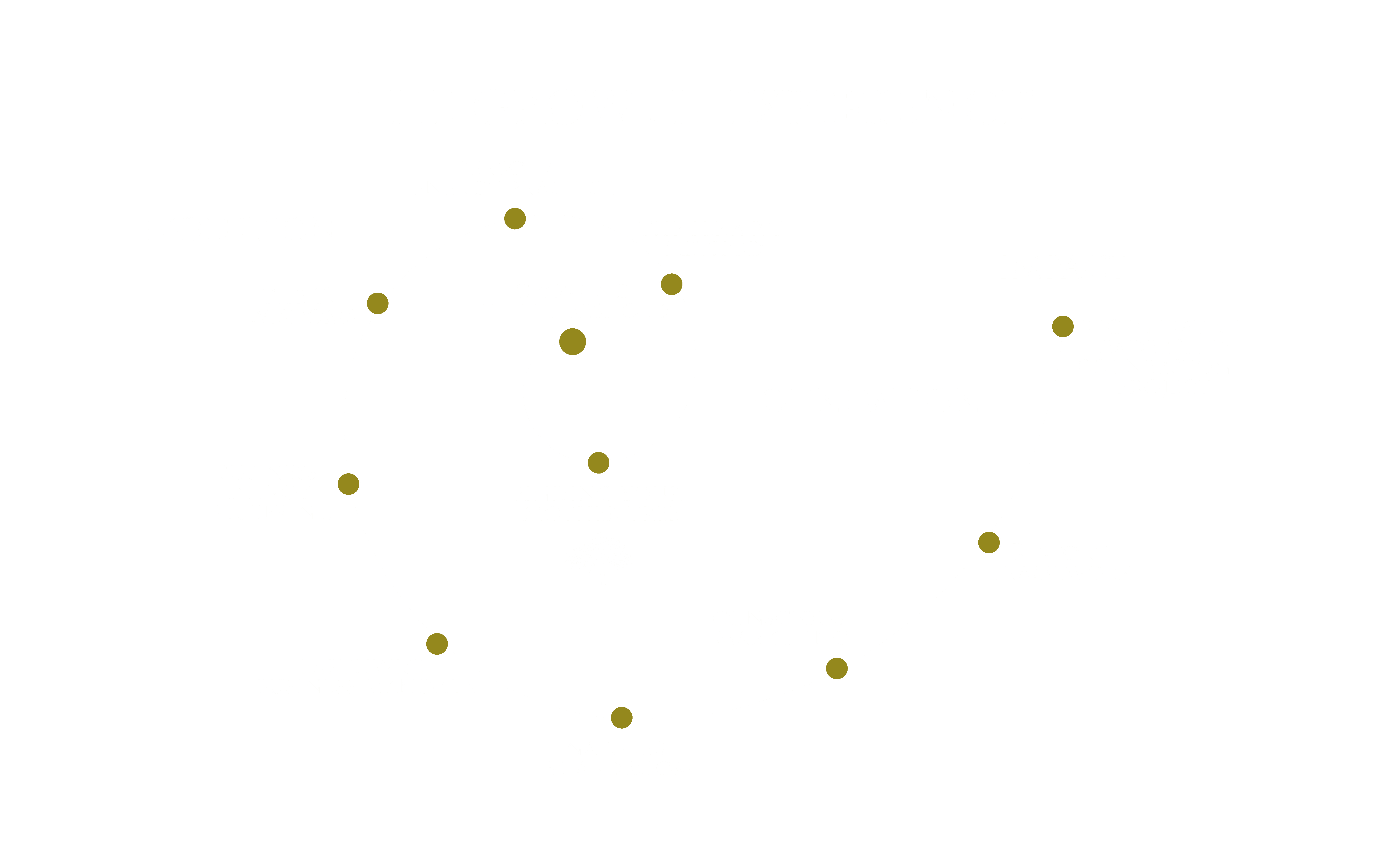 Growth Experience Nautilus