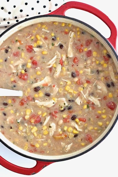 A red dutch oven with chicken tortilla soup. The handle of silver ladle sticks out.