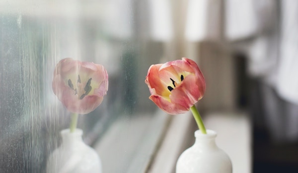 孤独感から抜け出したい!ポジティブになれる思考転換術