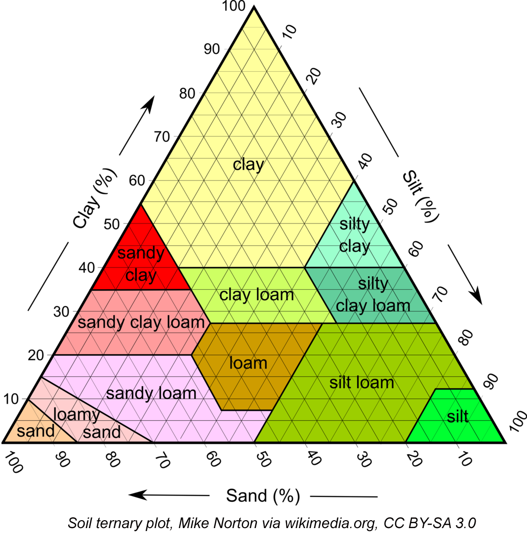 Happy Friday this New Year