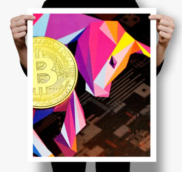 cryptobull Crypto Guy