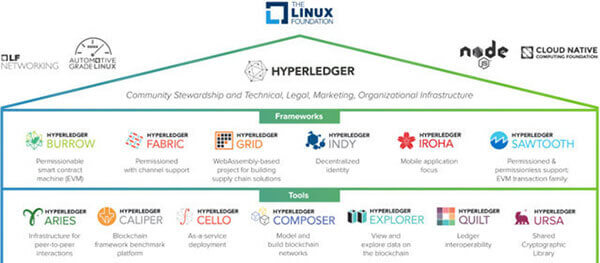 一起来玩区块链吧!