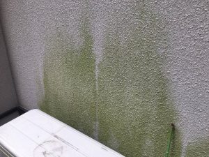 外壁の汚れ