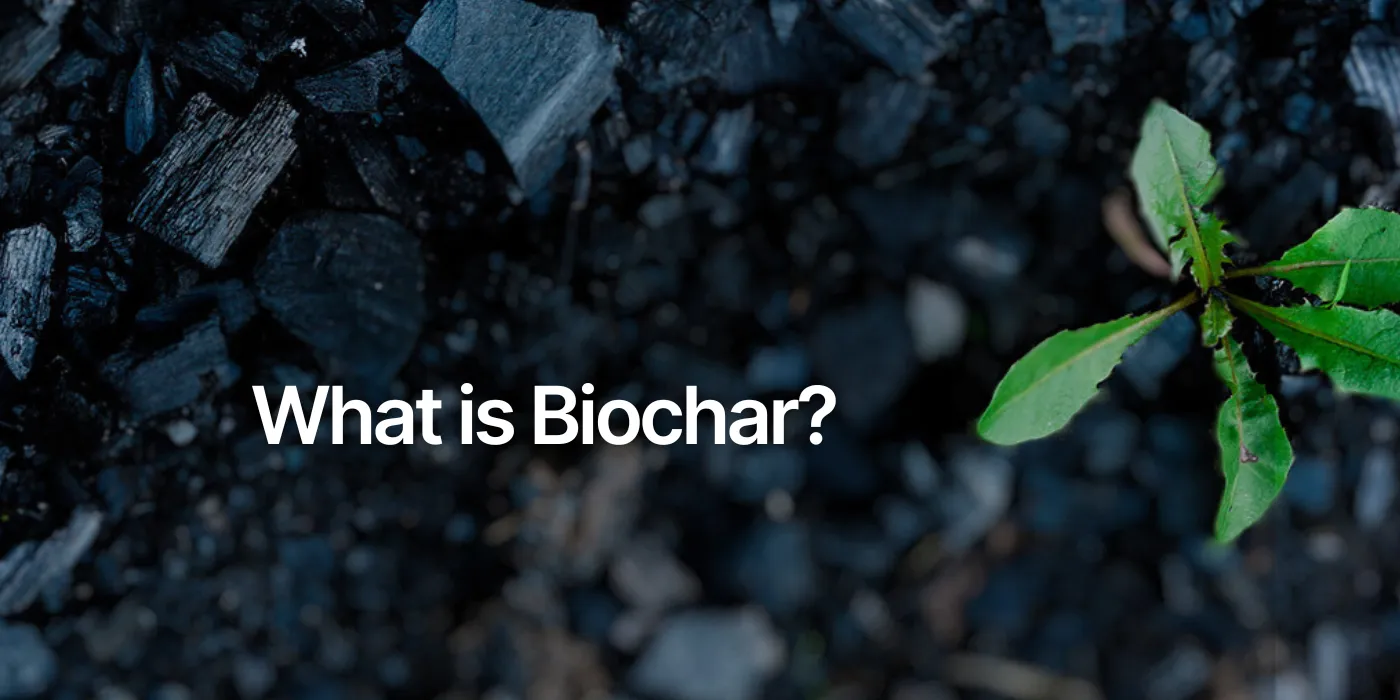 Biochar