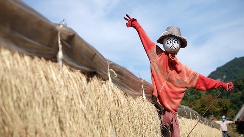 なにが違うの?ふるさと納税・ふるさと投資・クラウドファンディング なにが違うの?ふるさと納税・ふるさと投資・クラウドファンディング