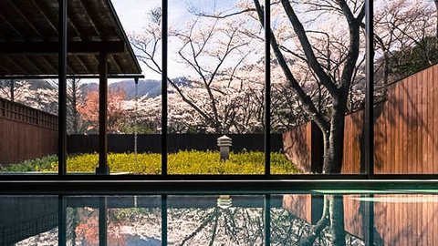 桜が見える露天風呂、桜が見えるレストラン、今年はどっちにする? 桜が見える露天風呂、桜が見えるレストラン、今年はどっちにする?