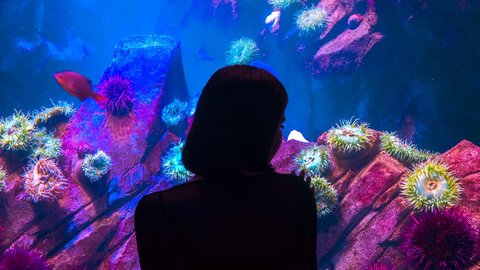 心もビックな外国人女性に恋をして、僕はいつの間にか大人になった 心もビックな外国人女性に恋をして、僕はいつの間にか大人になった