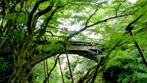 松尾芭蕉も愛した加賀の名湯。渓谷美に心奪われる「山中温泉」 松尾芭蕉も愛した加賀の名湯。渓谷美に心奪われる「山中温泉」