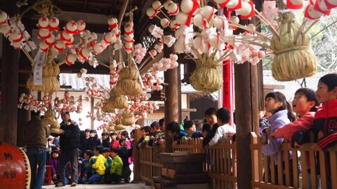 木津川市・相楽神社の「餅花祭」〜満開の餅の花が出迎える正月行事〜 木津川市・相楽神社の「餅花祭」〜満開の餅の花が出迎える正月行事〜