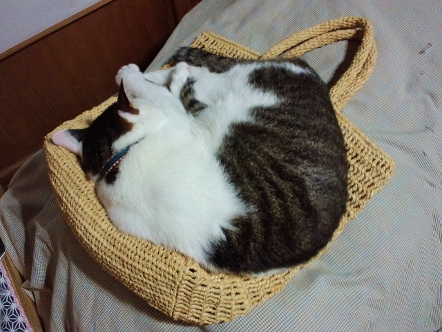 CA3F1093 (640x480).jpg