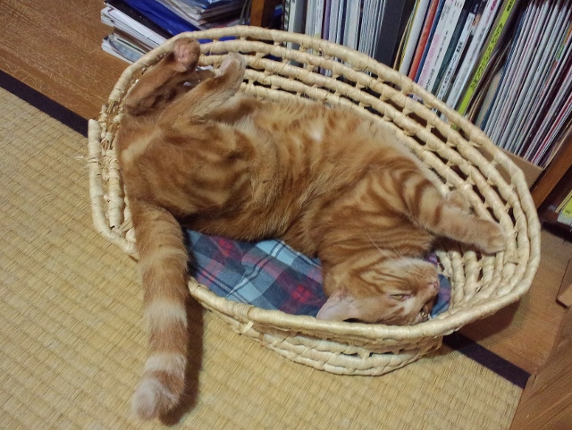 CA3F1309 (640x481).jpg