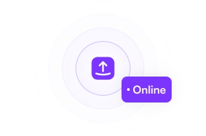 bento box with assorted Japanese food items