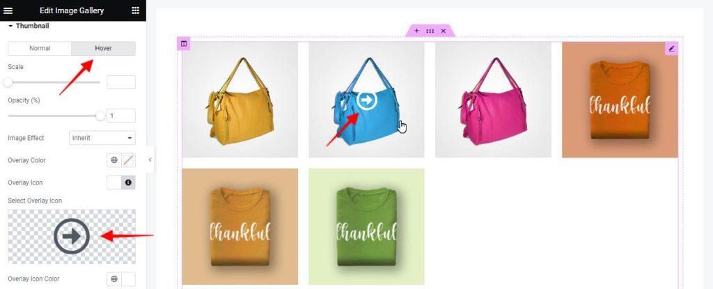 elementor-overlay-icon-on-hover