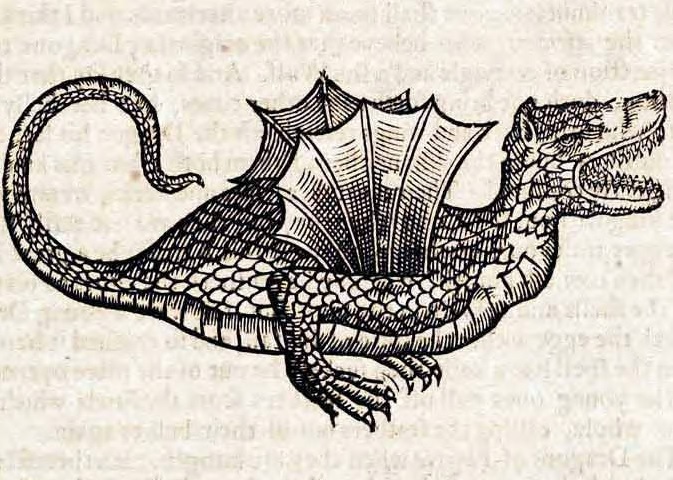 dragon illustration from old book