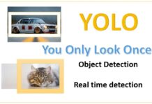 Why developers use YOLO for real-time object detection? Why developers use YOLO for real-time object detection