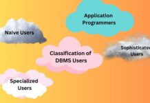 Classification of DBMS Users Classification of DBMS Users