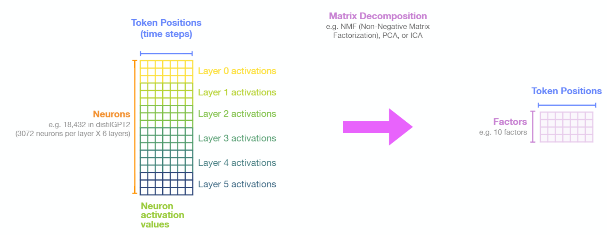 neuron-factors-decomposition