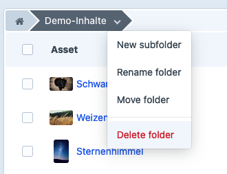 Screenshot showing the delete option for folders