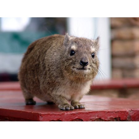 68f39a73-bcad-4998-a7c8-ada5e1e8b8ff_1 ecf2088920bbbf3577bfce7402ad521f