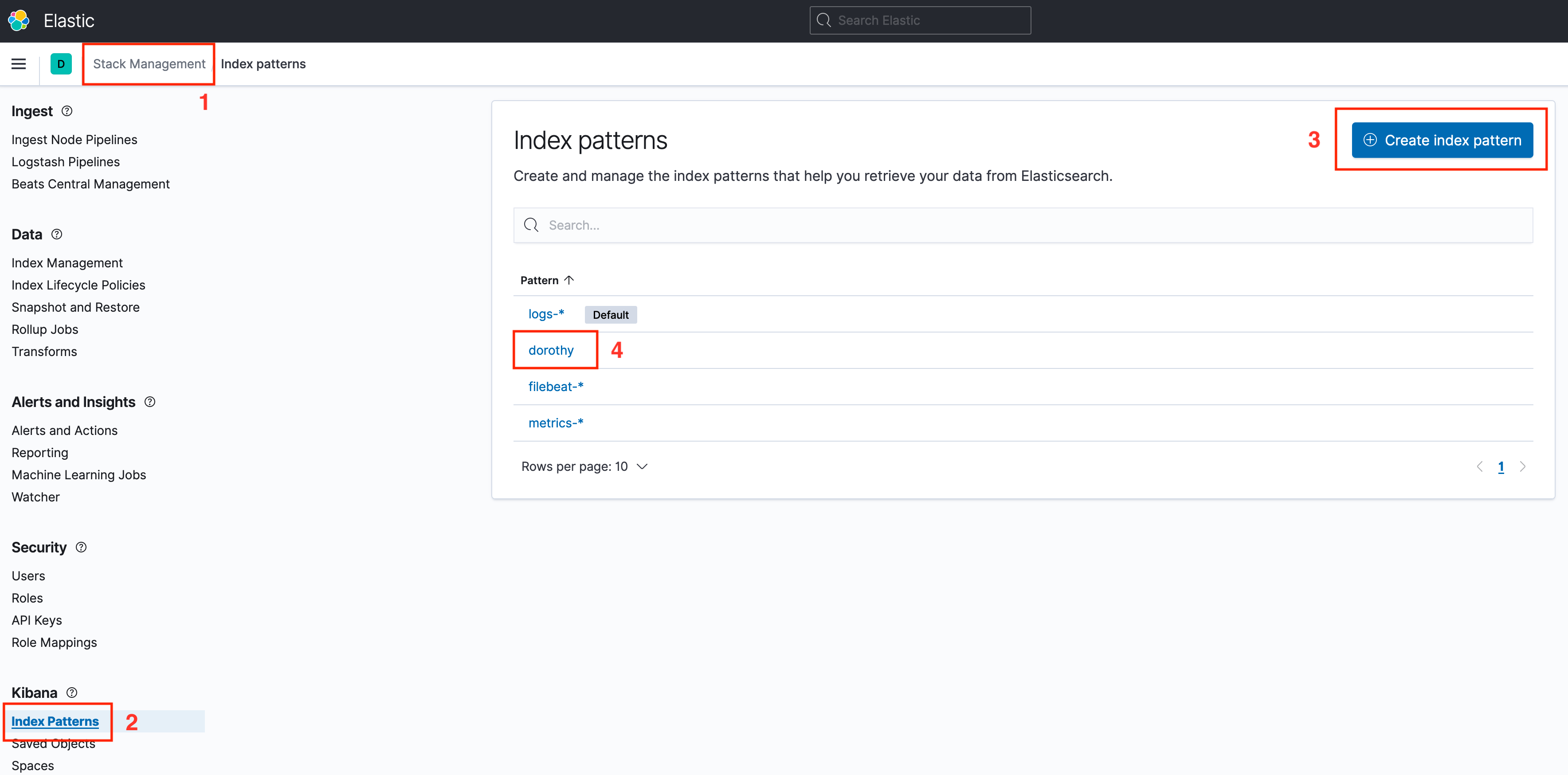 Creating a Kibana index pattern for Dorothy