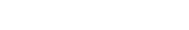 Via-Data-Logo
