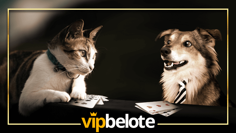 Jeux de Cartes à Deux jeu de carte a 2