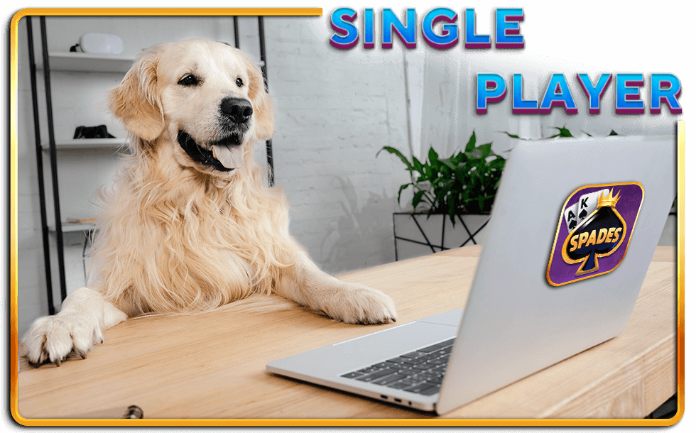 one-player-card-games