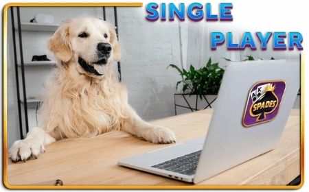 single player card games