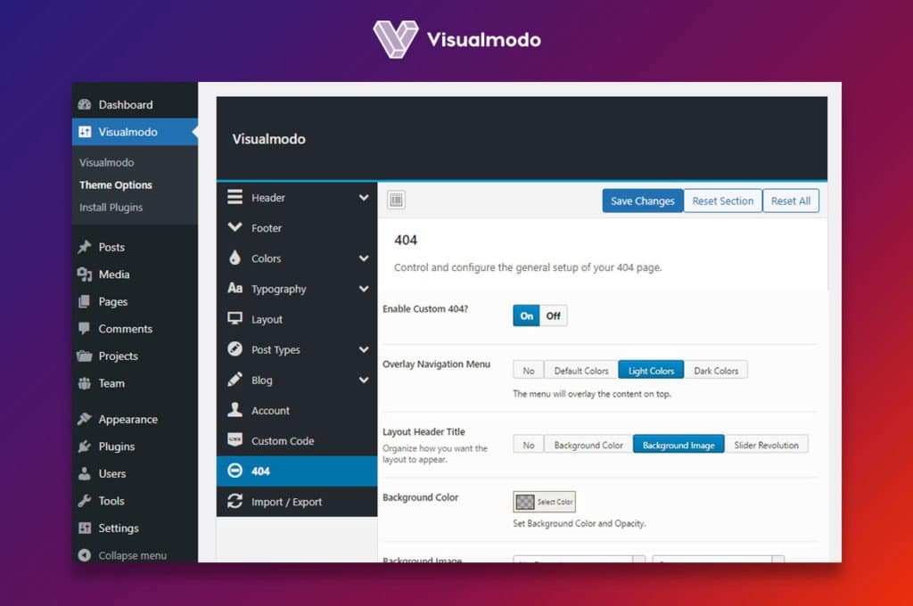404 page not found theme options WordPress