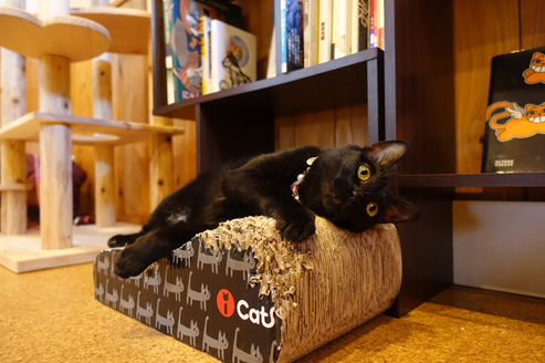 50b5cf65d3aea40e2900c6f7f7724da7