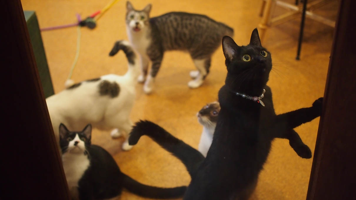 6ab68f5fb8fbfab592aa6268bc8dd10e