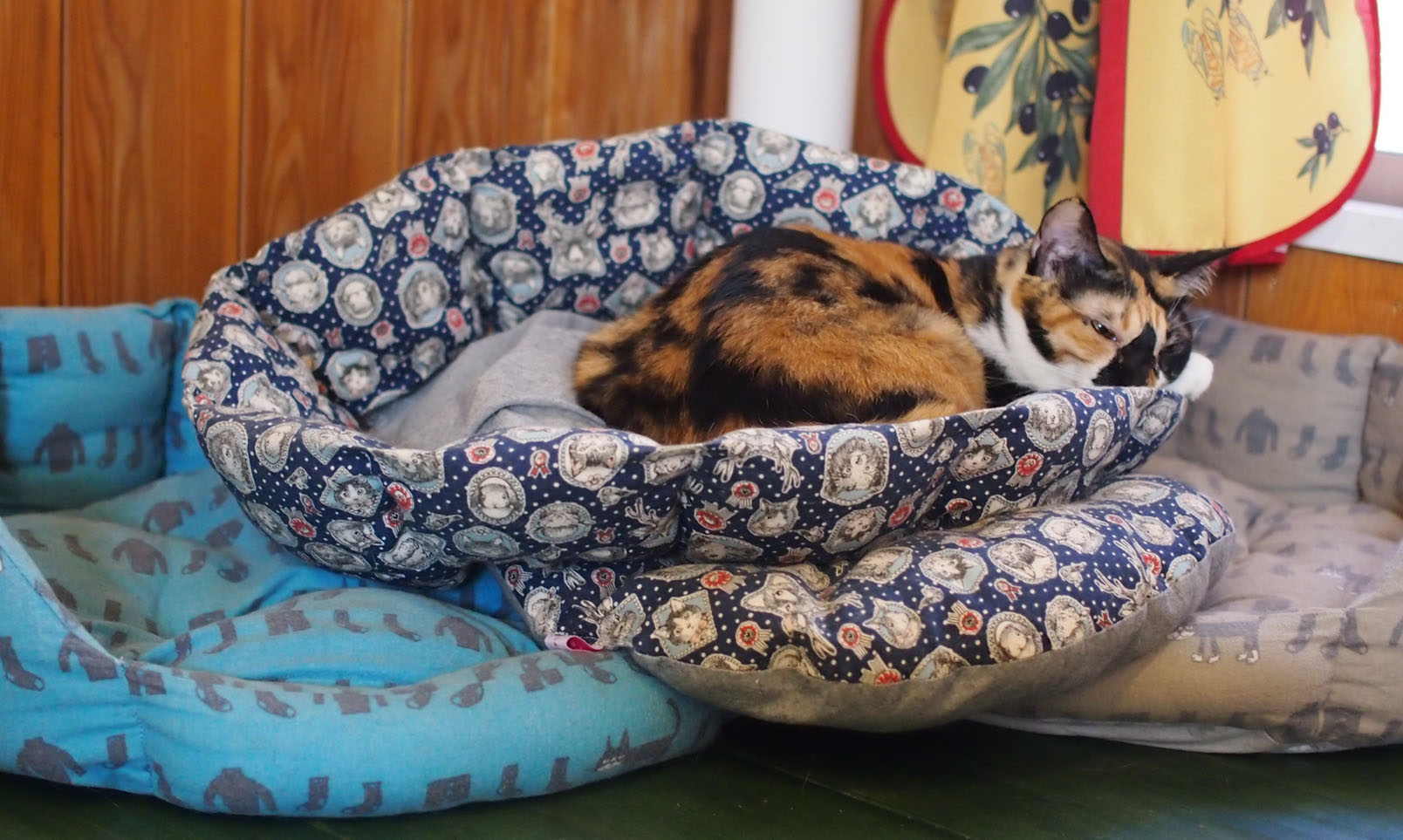 21f4153e089bc7886cab4249a93f8f8b