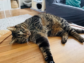 1b6e14d89e82846b0257ae32d53d178b