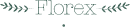 WEB-MATE - Web-Mate Florex logo