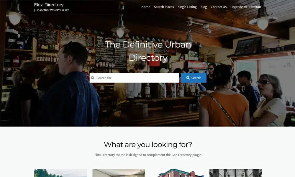 قالب وردپرس Ekta Directory