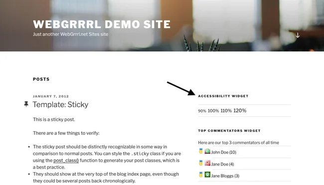 افزونه فونت Accessibility Widget