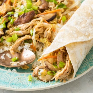 Mu shu chicken on serving platter.