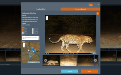 Individual ID Update – Part 1