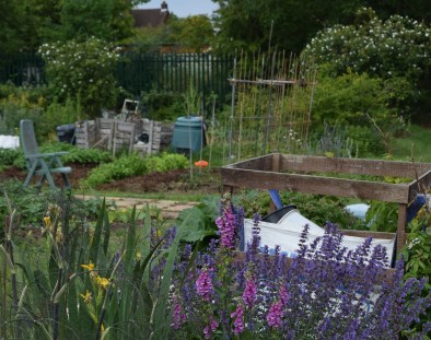 allotment2
