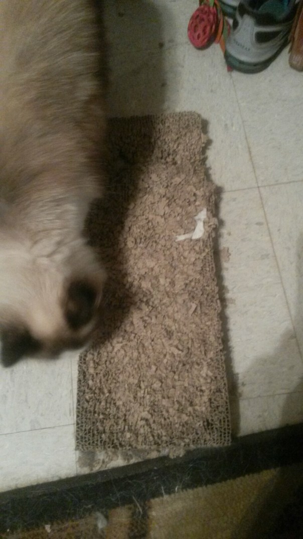 20140802_115016.jpg image